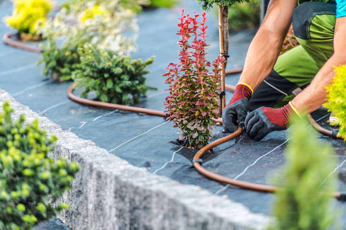 Garden construction and hardscaping